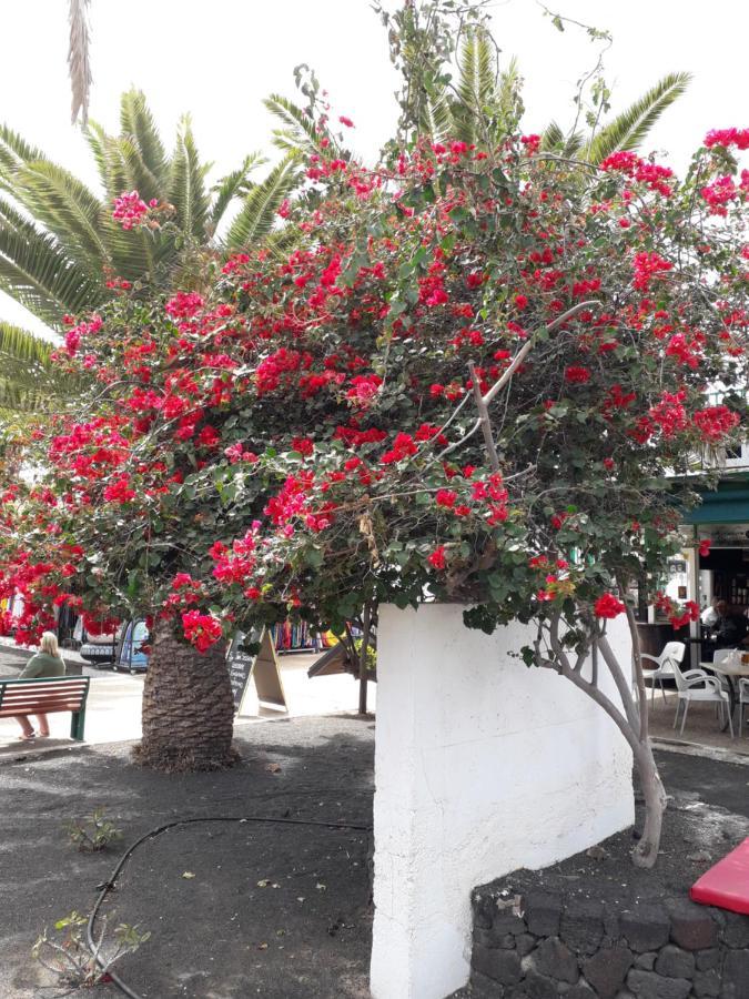 Sunny Self-Catering Apartment Costa Teguise, Lanzarote, Spain Exterior foto